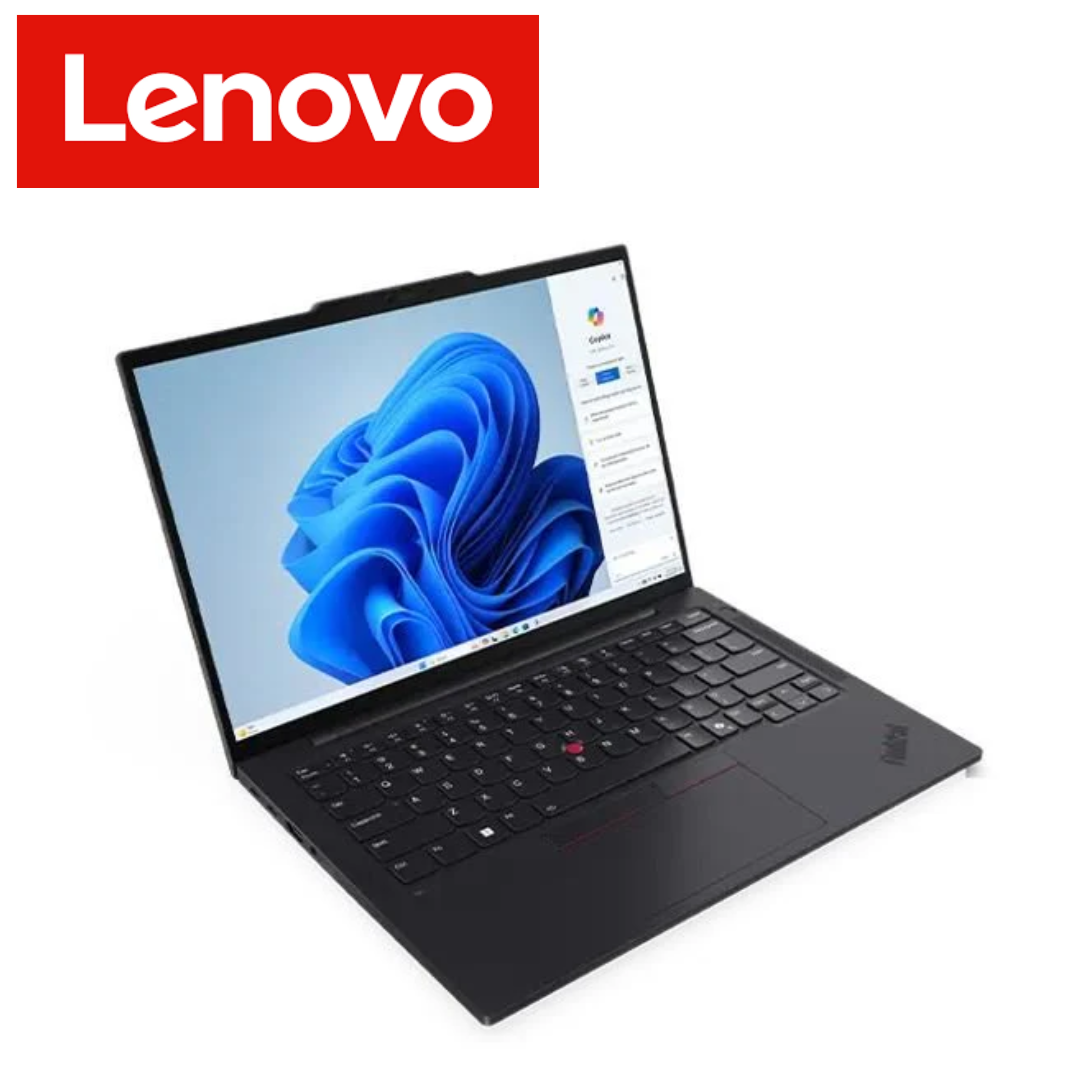 Lenovo ThinkPad T14s Gen 5 21LS004 Series